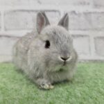 626320D5D50136B698586A4133B8190705CFDE16