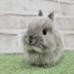 AB5301D538150A99C1B6788A1BFEF29CC86E0E98