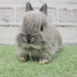 AECD49F8F658A9AF02F787C405570DF94ECFBB62