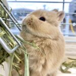 image2 – コピー (2)