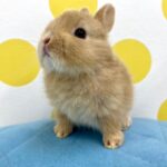 image2 – コピー (3)