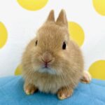 image1 – コピー (3)