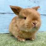 image1 – コピー (5)