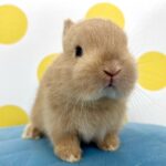 image2 – コピー (6)