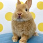 image4 – コピー (5)