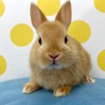 image3 – コピー (6)