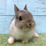 image3 – コピー (4)