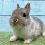 image5 – コピー (6)