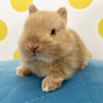 image6 – コピー (2)