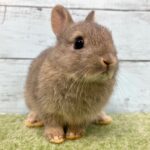 image2 – コピー (8)