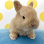 image5 – コピー (4)