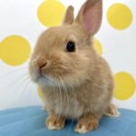 image1 – コピー