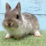 image4 – コピー (6)