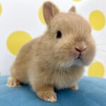 image1 – コピー (6)