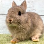 image1 – コピー (8)