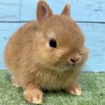 image5 – コピー (8)