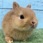 image3 – コピー (7)