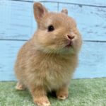 image4 – コピー (8)