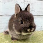 image1 – コピー (13)