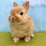 image6 – コピー (5)