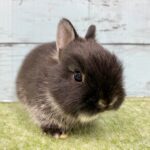 image5 – コピー (10)