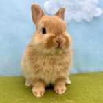 image7 – コピー (4)