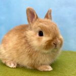 image8 – コピー (4)