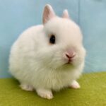 image11 – コピー