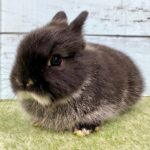 image3 – コピー (10)