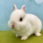 image10 – コピー