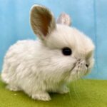 image9 – コピー (3)