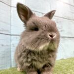 image8 – コピー (5)