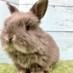 image7 – コピー (5)