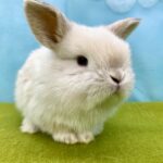 image6 – コピー (7)