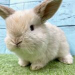 image3 – コピー (11)