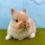 image5 – コピー (13)