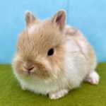 image4 – コピー (13)