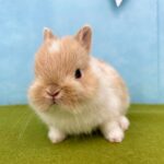 image3 – コピー (13)