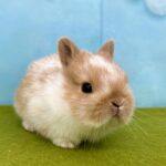 image2 – コピー (15)